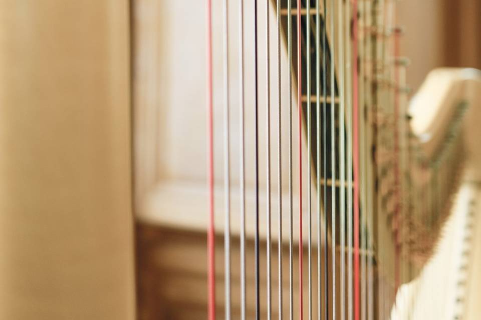 Harpe Athéna Camac