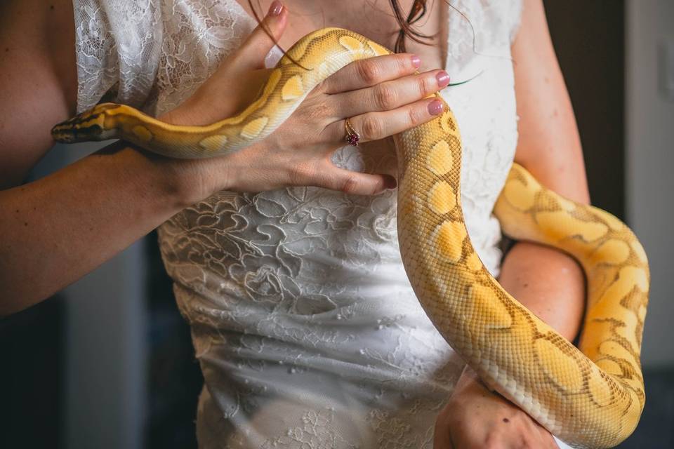 Mariée et python