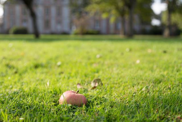 Le parc