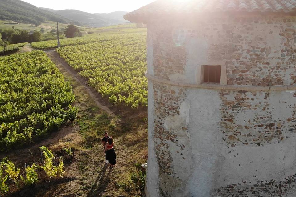 Vue drone sur les vignes