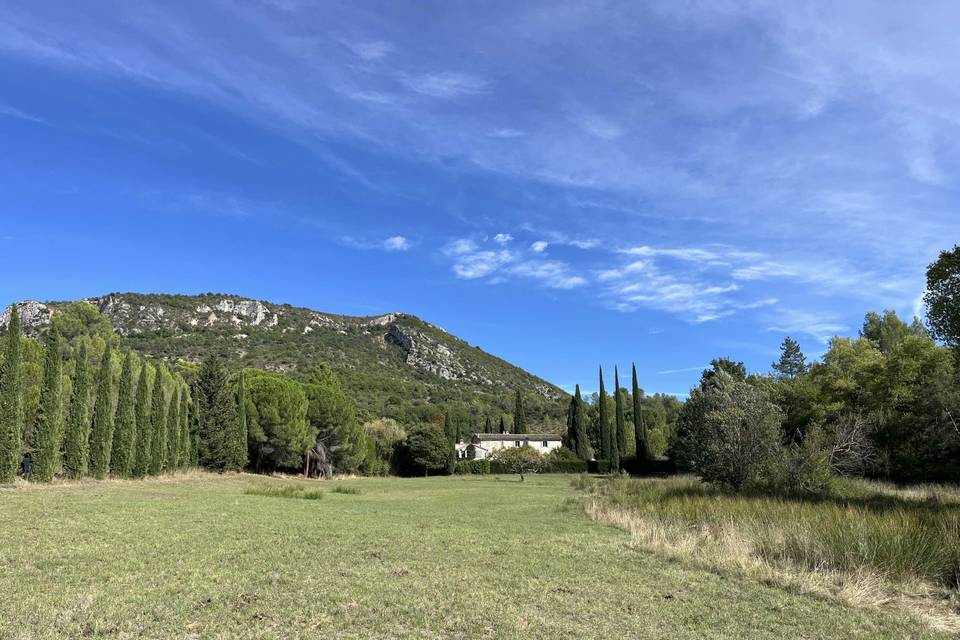 Terrain