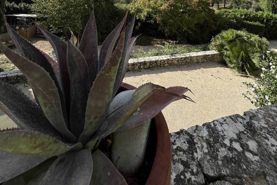 Vue extérieur