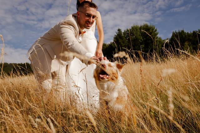 Lancer dans 3,2,1...