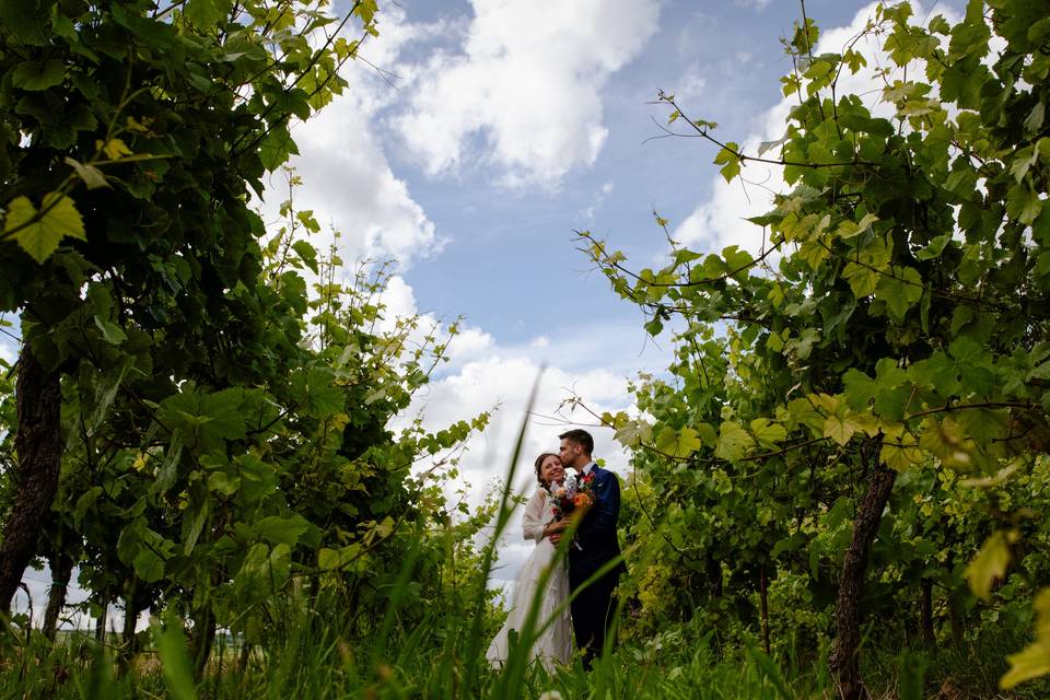 Dans les vignes