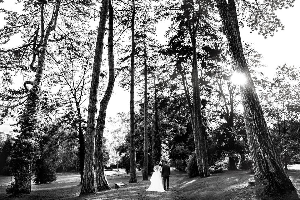 Promenons nous dans les bois