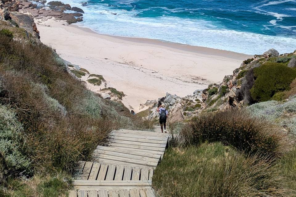 Lune de miel en Afrique