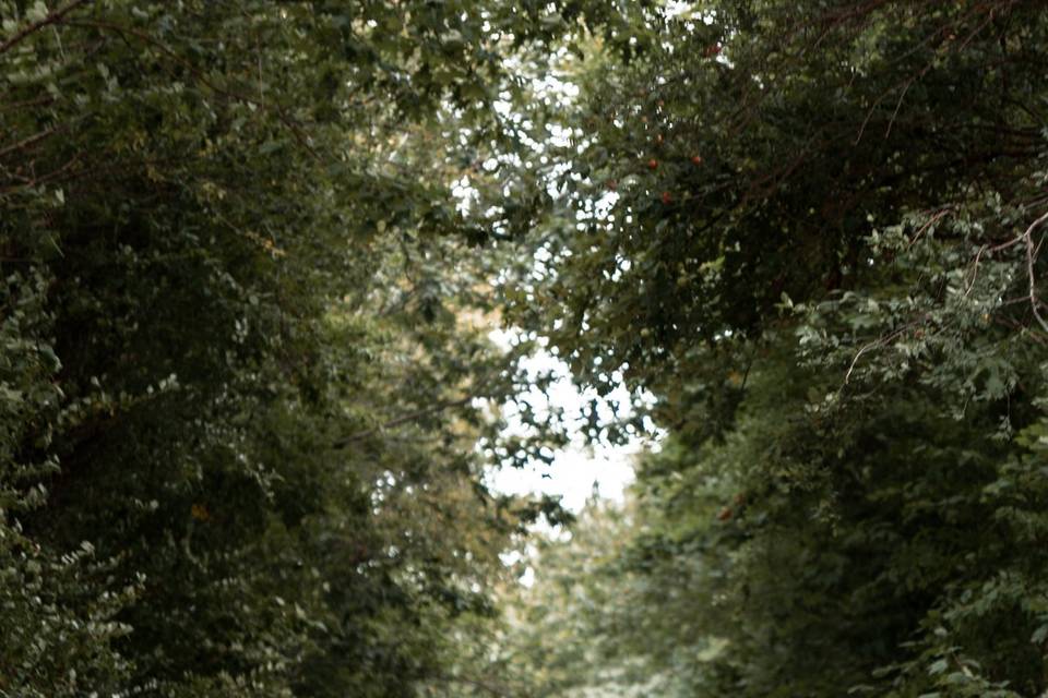 L'entrée du Domaine