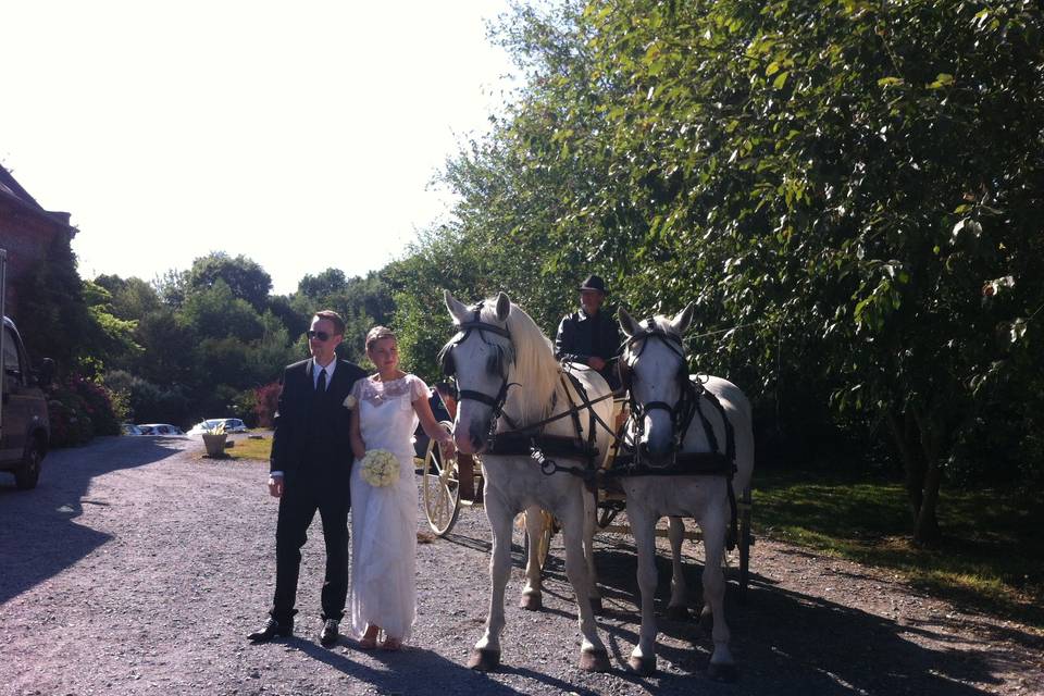 Mariage en Seine-Maritime