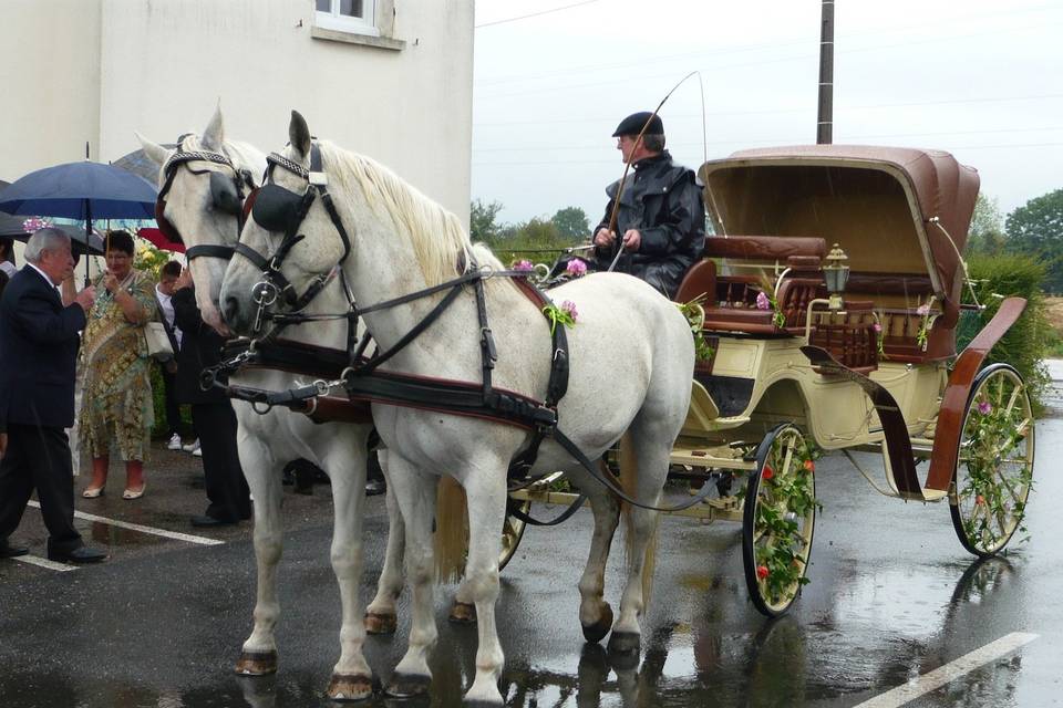 Mariage pluvieux, donc heureux