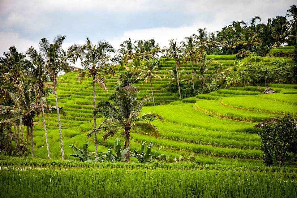 Paysage du Laos