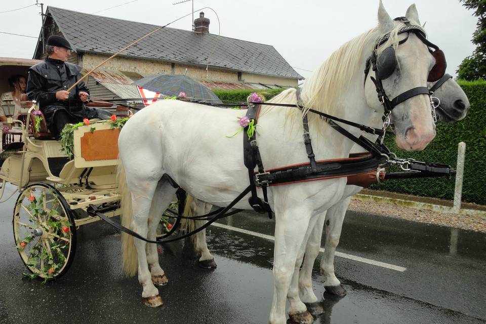 Mariage dans l'Eure