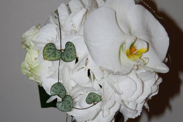 Bouquet