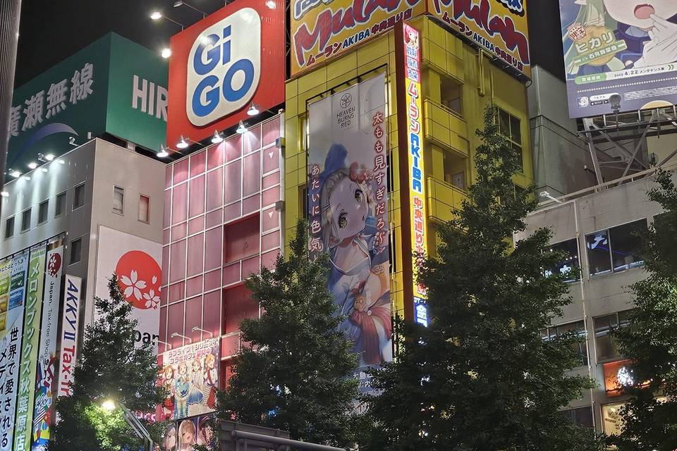 Akihabara lights