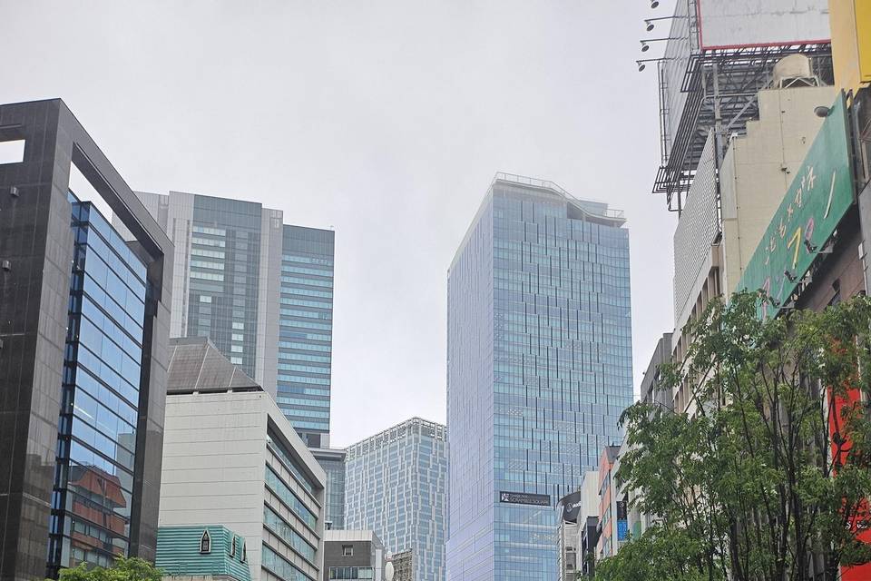 Mega city