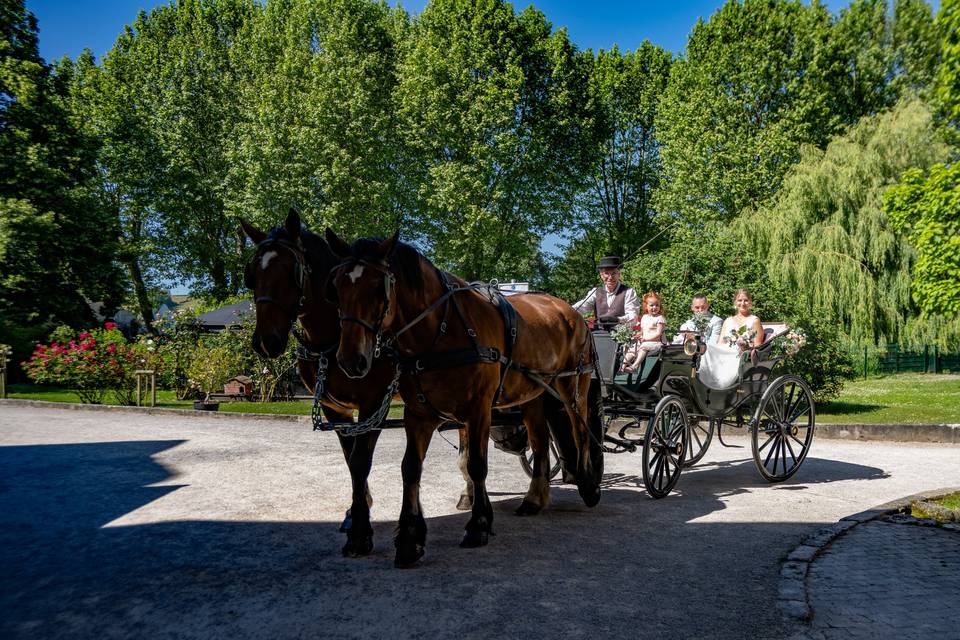L'attelage pour Abane et Kévin