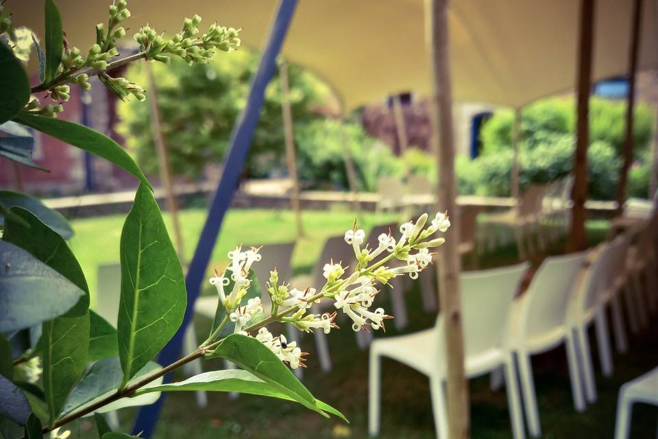 Jardin de la grande salle