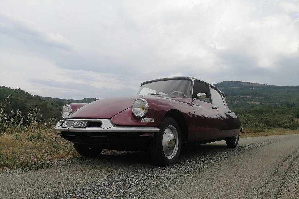 ID/DS 19 de 1962