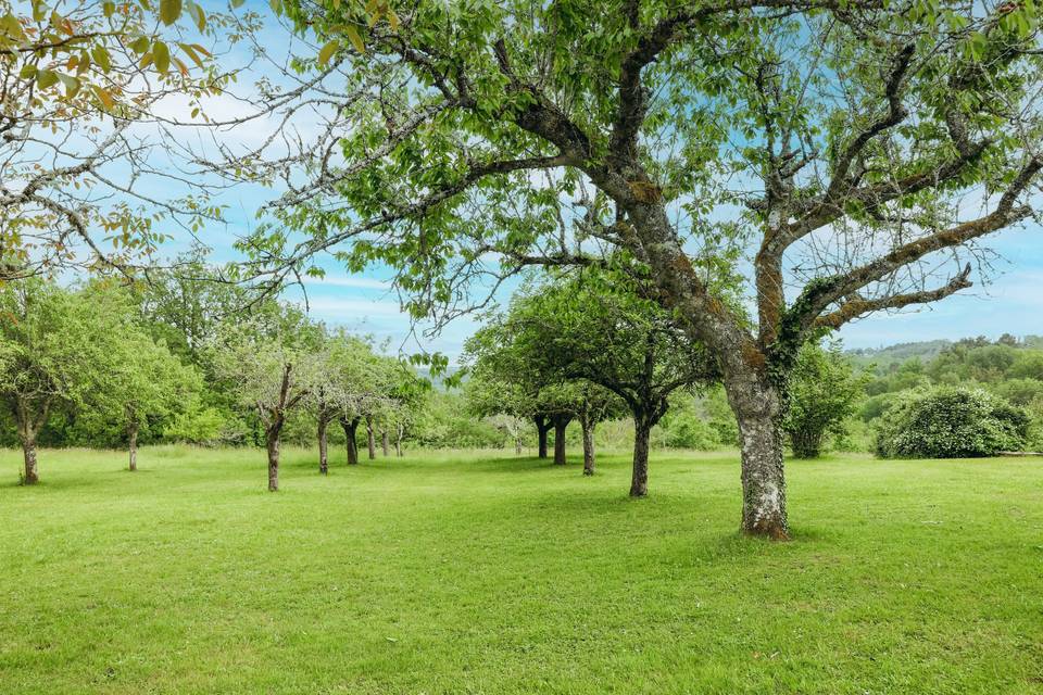 Parc de la Fage