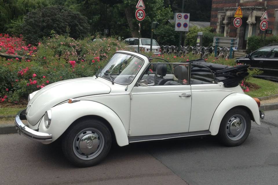 Coccinelle Cabriolet Blanche