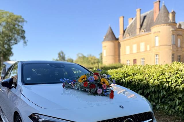 Décor de voiture