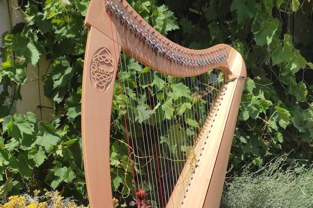 Duo Ceol