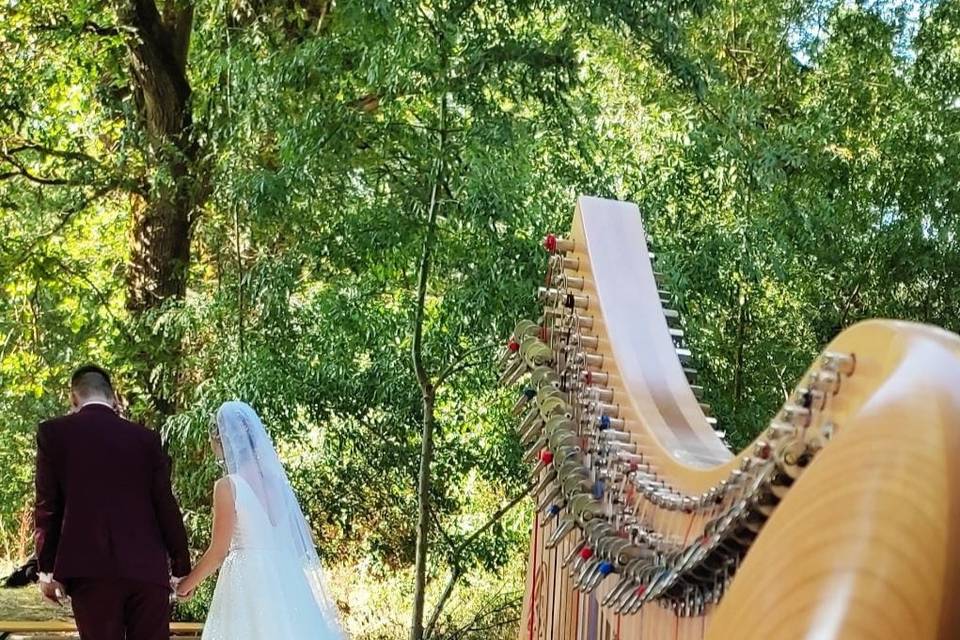 Marion Pollet -Harpiste