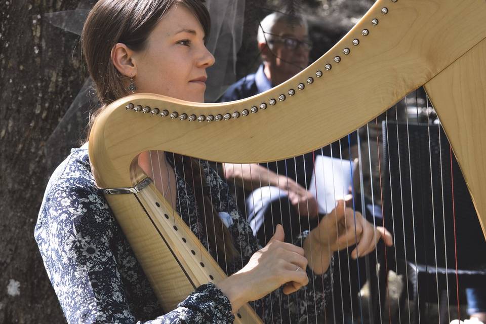 Marion Pollet, cérémonie