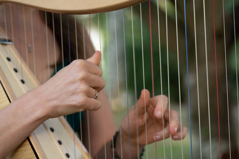 Marion Pollet -Harpiste