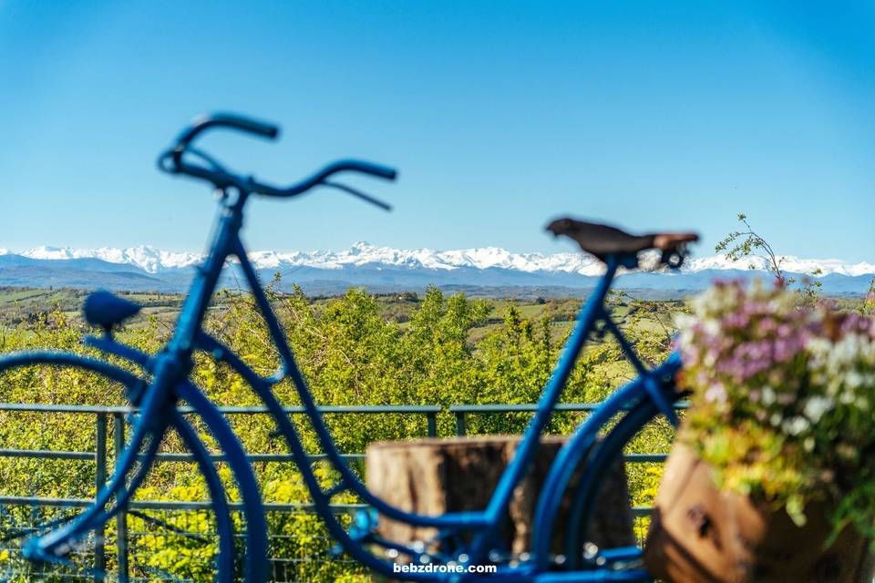 Vue Pyrénées
