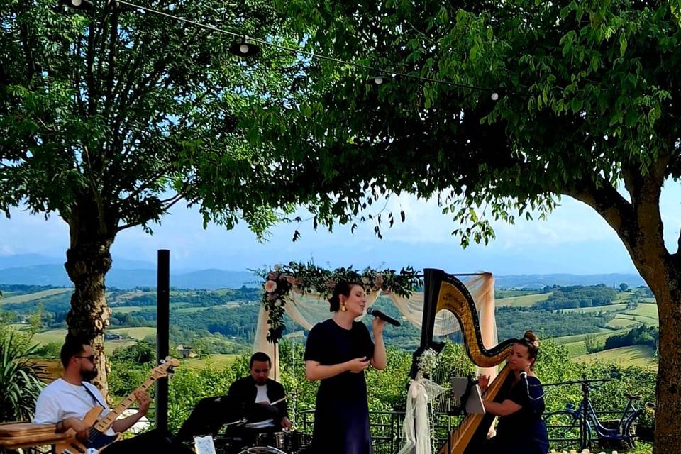 Concert coktail