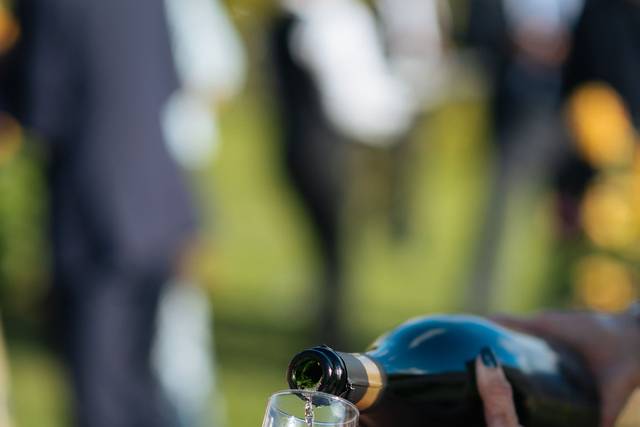 Sélection de Champagnes