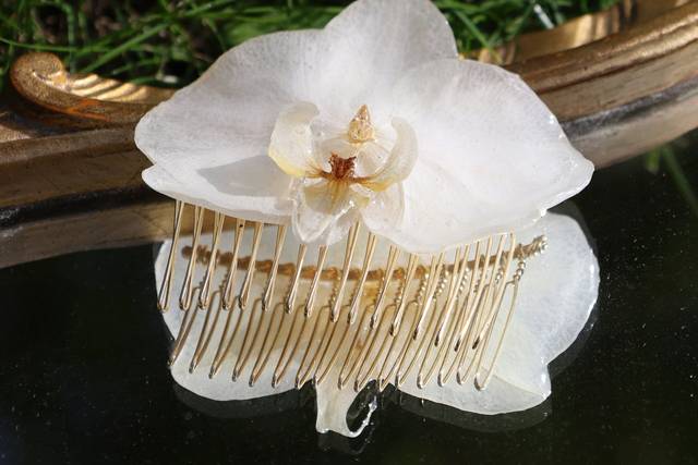 Peigne vraie Orchidée