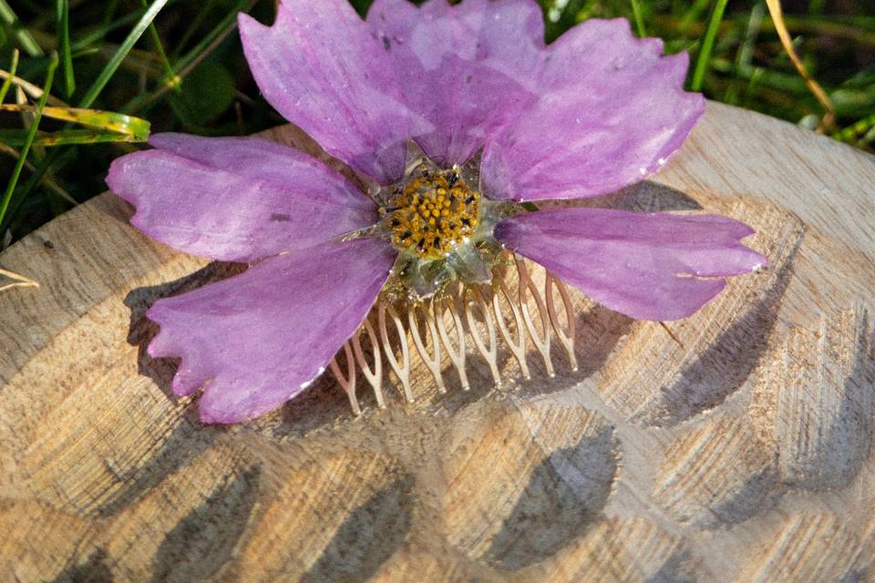 Broche Cosmos