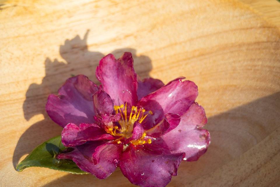 Broche Camélia