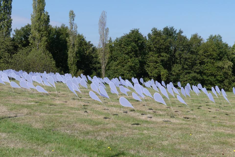 Jardin de plumes