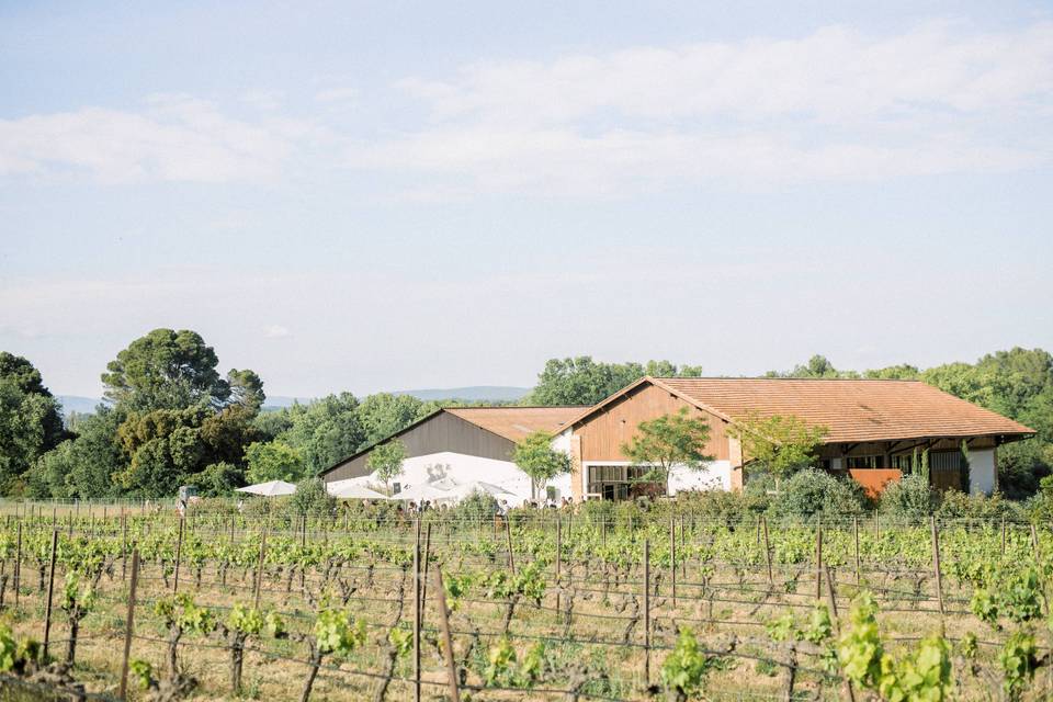 Mariage au milieu des vignes