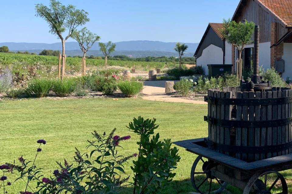 Vue sur vignes et le Luberon