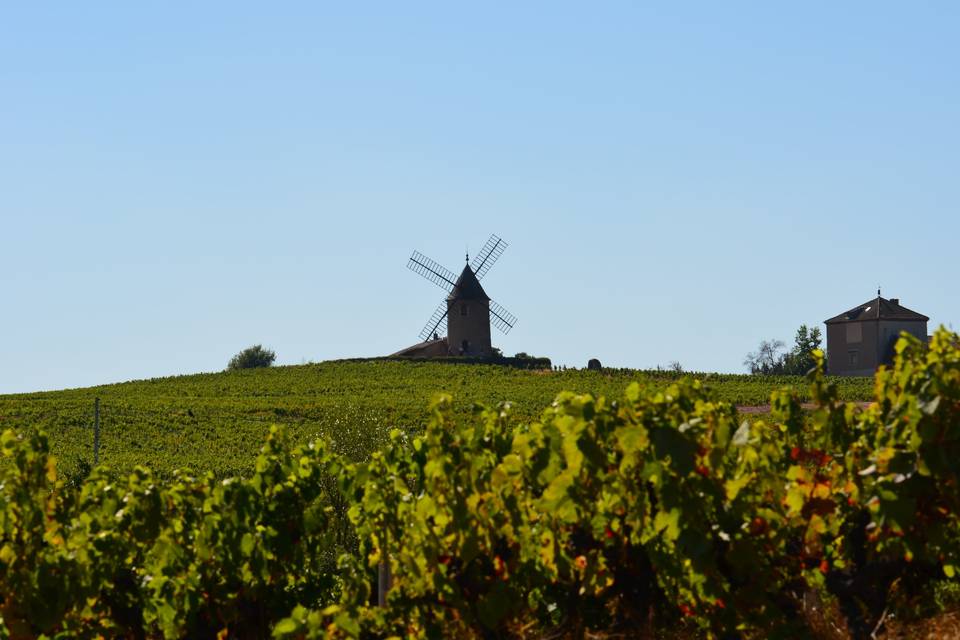Moulin à Vent