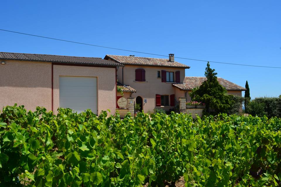 Domaine