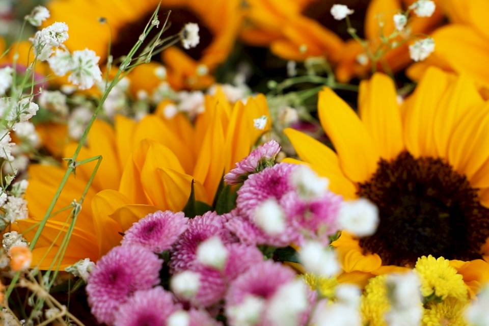 Fleurs