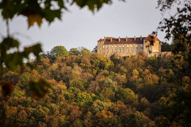 Château de Montmartin