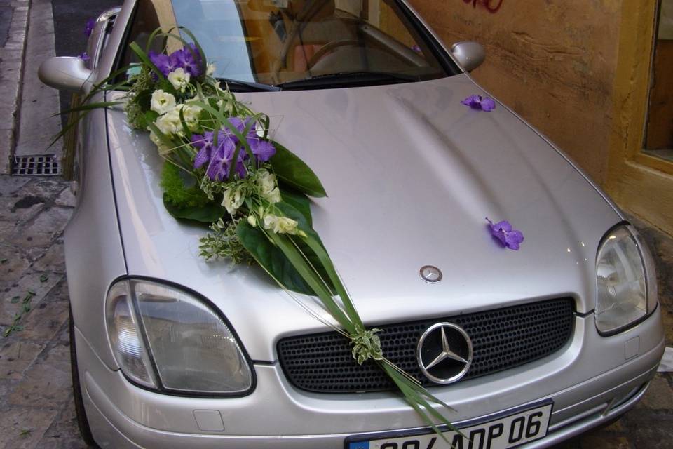 Décoration voiture