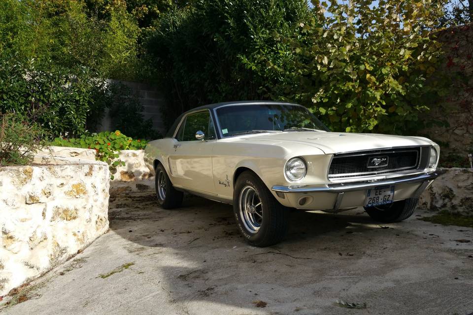 Location Ford Mustang