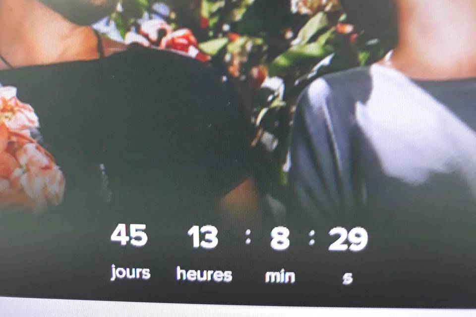 11 feb