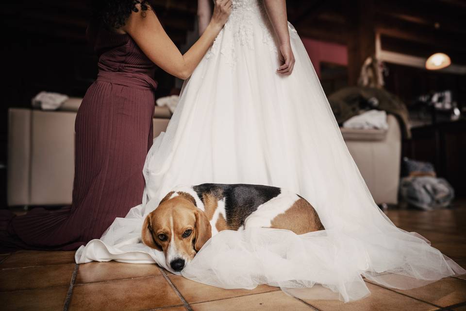 Reportage Mariage et portraits