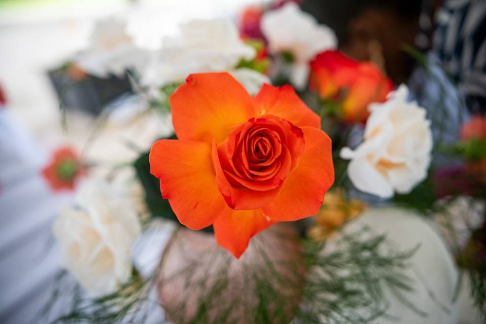 étail d_une rose orange