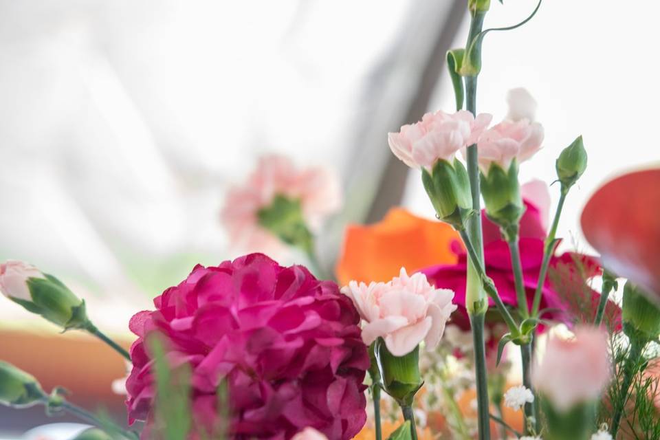 Gros plan d_œillets de mariage
