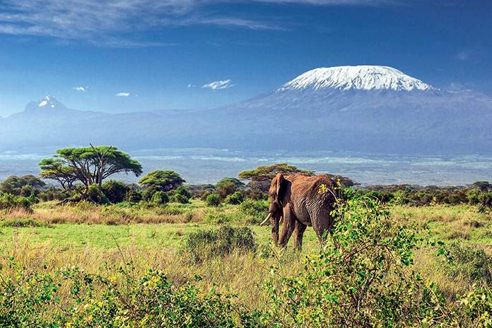 Un petit safari en Tanzanie