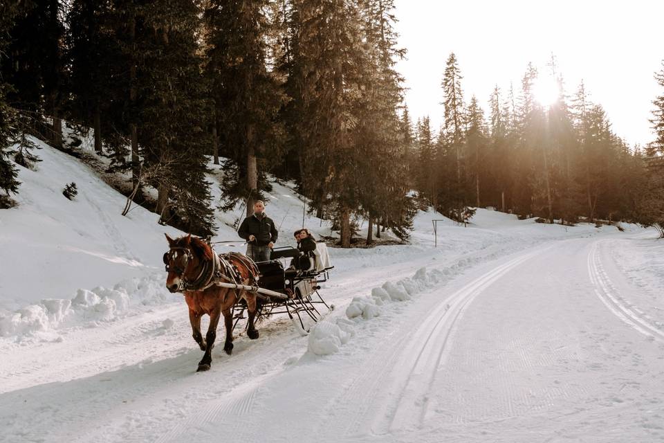 Transport en calèche