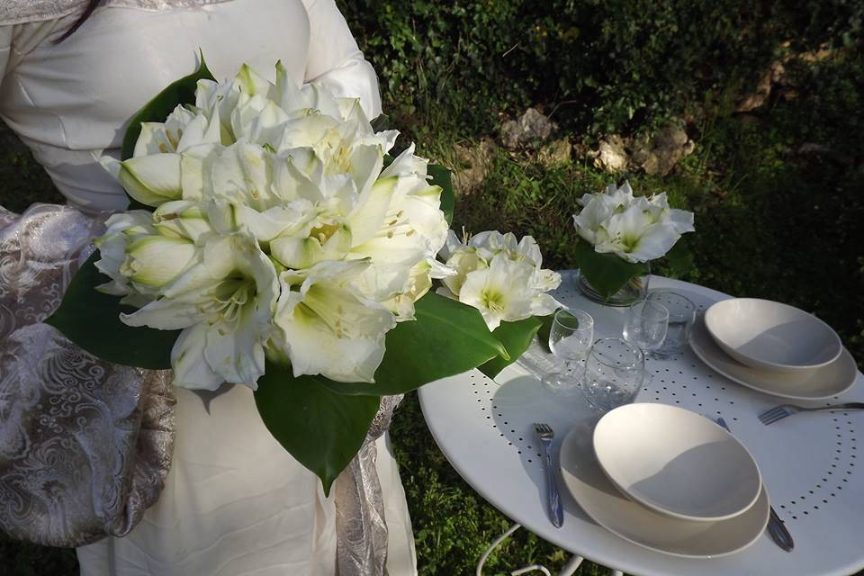 Fleurs de thé...Rêves
